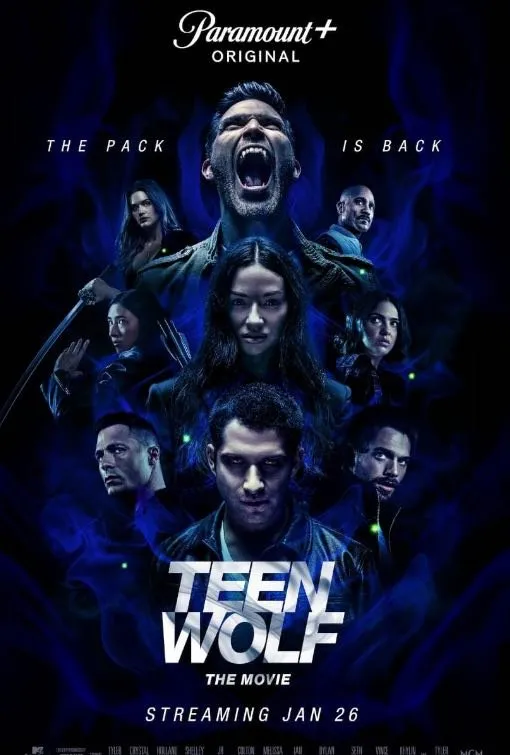 Affiche de film disponible dans la VOD Mario IPTV 7